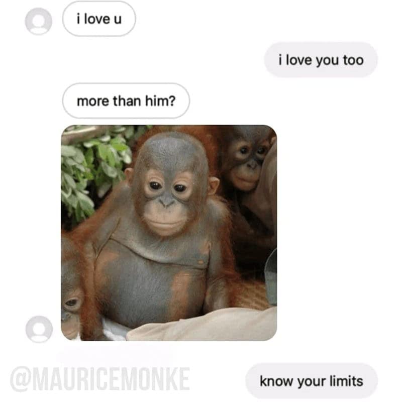 gorilla meme, ape memes, monkey memes, funny animal memes, gorilla jokes, primate memes, chimp memes, zoo memes, banana memes, silverback humor, gorilla memes