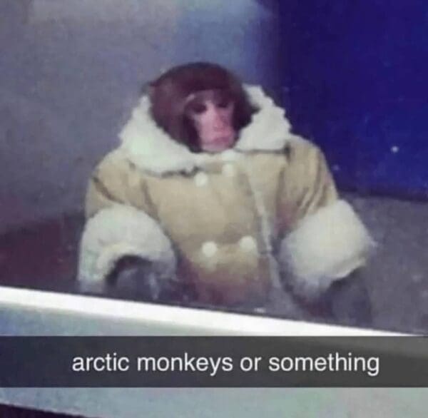 Gorilla Meme Dump: 50 Primate Punchlines in One Swing