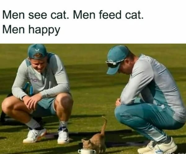 Men see cat. Men feed cat. Men happy