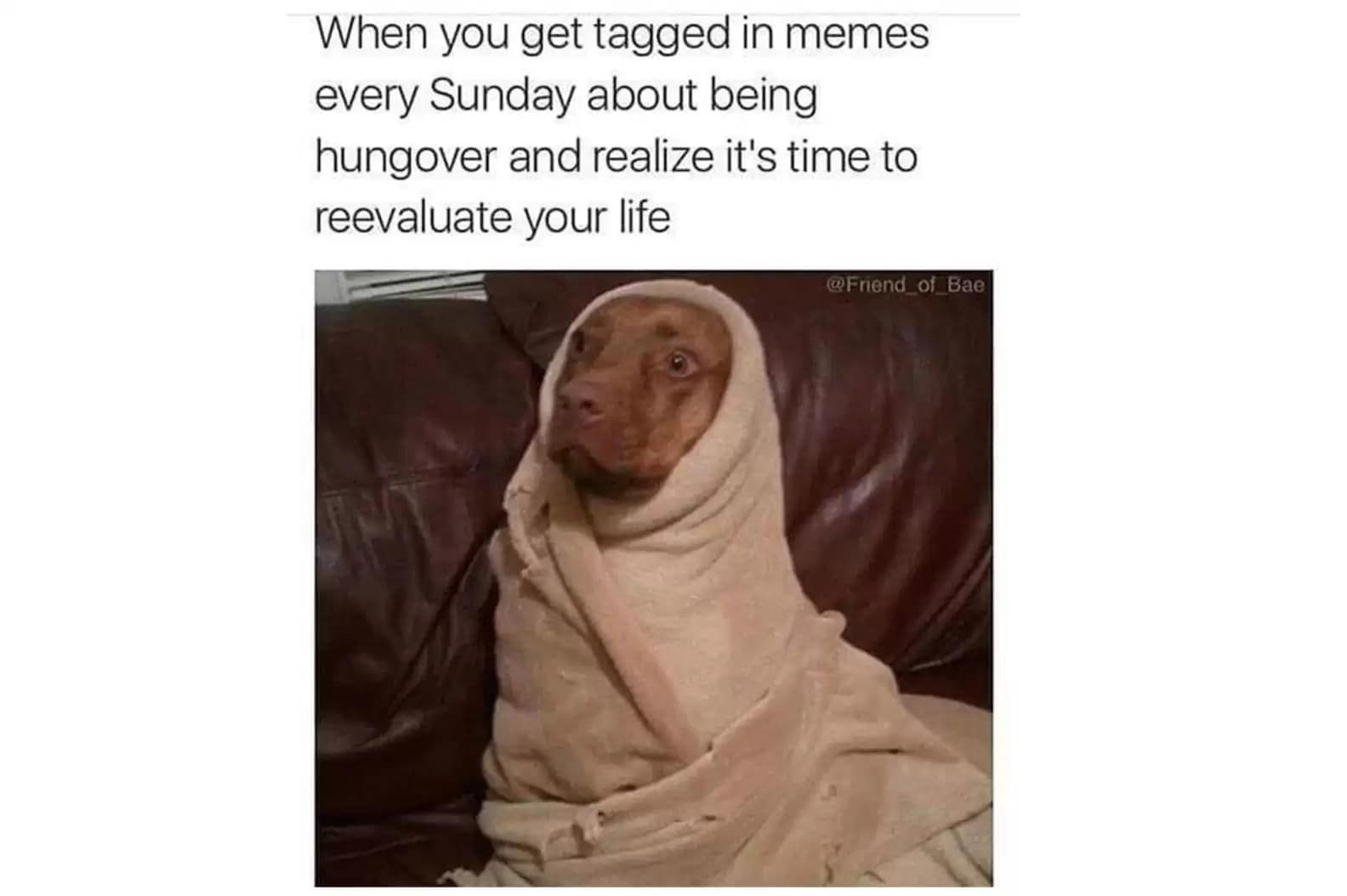 hungover meme, hangover memes, drinking memes, funny memes, alcohol memes, beer memes, wine memes, party memes, headache memes, morning after memes, funny drinking pics, regret memes, booze memes, funny hangover jokes, hydration memes, party fail memes, hangover humor, recovery memes, bar memes, meme hangover