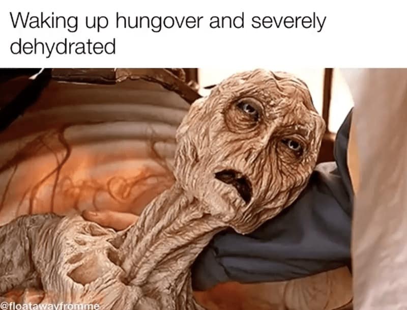 hungover meme, hangover memes, drinking memes, funny memes, alcohol memes, beer memes, wine memes, party memes, headache memes, morning after memes, funny drinking pics, regret memes, booze memes, funny hangover jokes, hydration memes, party fail memes, hangover humor, recovery memes, bar memes, meme hangover