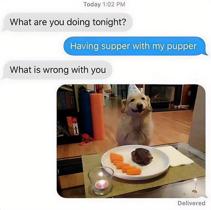 introvert memes, social anxiety memes, funny introvert memes, antisocial memes, shy memes, quiet person memes, introvert jokes, socially awkward memes, stay home memes, alone time memes, crowd anxiety memes, funny isolation memes, introvert life memes, solitude memes, no small talk memes, people avoiding memes, low battery social memes, introvert humor, indoor memes, silent laugh memes