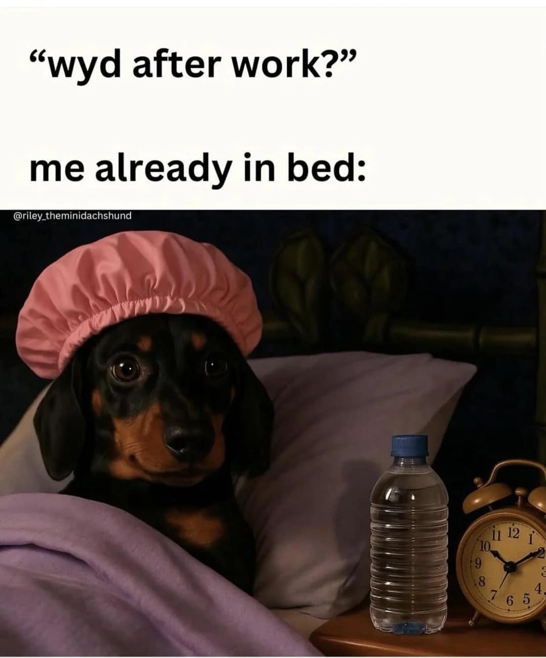 introvert memes, social anxiety memes, funny introvert memes, antisocial memes, shy memes, quiet person memes, introvert jokes, socially awkward memes, stay home memes, alone time memes, crowd anxiety memes, funny isolation memes, introvert life memes, solitude memes, no small talk memes, people avoiding memes, low battery social memes, introvert humor, indoor memes, silent laugh memes