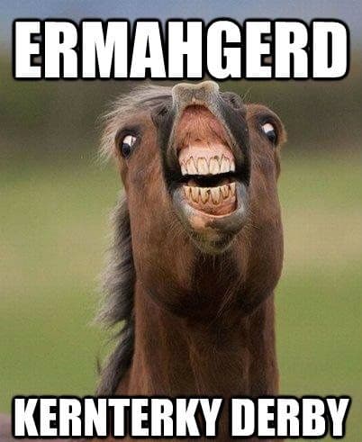kentucky derby memes, horse racing memes, derby day memes, funny horse memes, Churchill Downs jokes, race-day memes, thoroughbred memes, jockey memes, mint julep memes