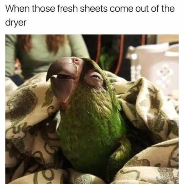 When those fresh sheets come out of the dryer