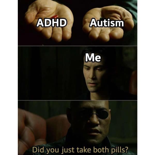 meme dump, funny memes, hilarious memes, trending memes, meme collection, meme roundup, fresh memes, viral memes, dank memes, internet jokes, laugh memes, comedy pics, dank meme dump, internet meme, memes funny