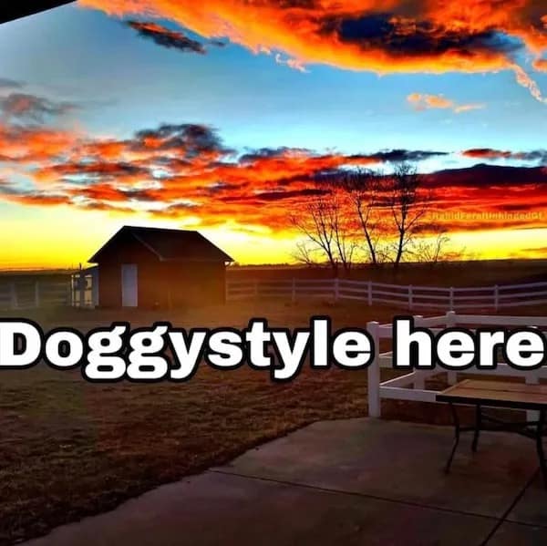 meme dump, funny memes, hilarious memes, trending memes, viral memes, office memes, lunch memes, break-time memes, humor memes, internet memes, dank memes, laugh memes, meme collection, daily memes, dank meme dump, internet meme, memes funny