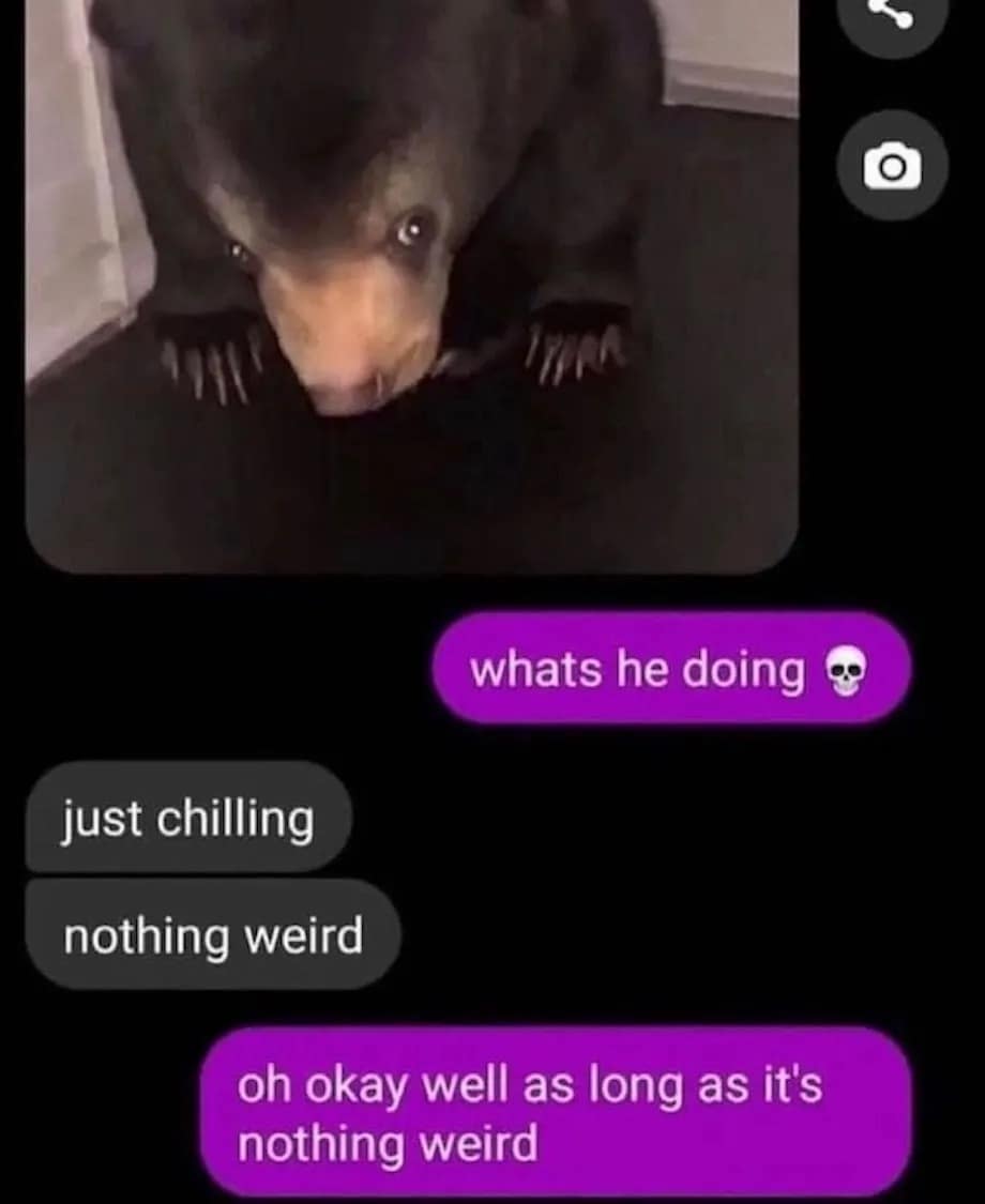 meme dump, funny memes, hilarious memes, trending memes, meme collection, meme roundup, fresh memes, viral memes, dank memes, internet jokes, laugh memes, comedy pics, dank meme dump, internet meme, memes funny