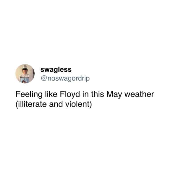 meme dump, funny memes, hilarious memes, trending memes, meme collection, meme roundup, fresh memes, viral memes, dank memes, internet jokes, laugh memes, comedy pics, dank meme dump, internet meme, memes funny