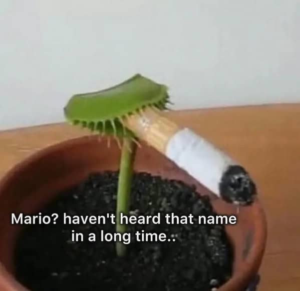 meme dump, funny memes, hilarious memes, trending memes, viral memes, office humor, lunch memes, dank memes, dank meme dump, internet meme, memes funny