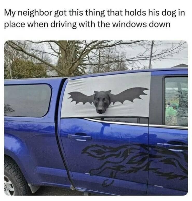 My neighbor got this thing that holds his dog in place when driving with the windows down