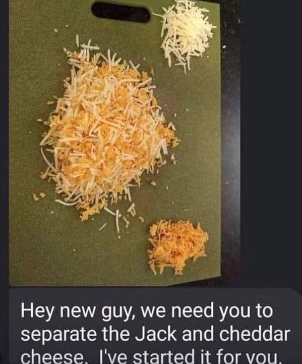 Hey new guy, we need you to separate the Jack and cheddar cheese I've started it for vou.