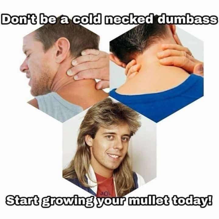 Don't be a cold necked dumbass Start growing your mullet today!