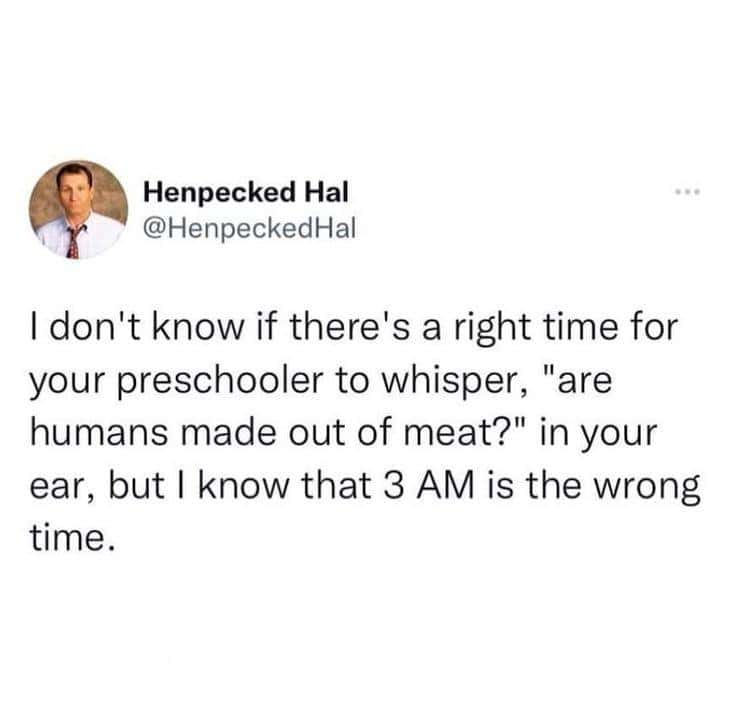 Henpecked Hal @HenpeckedHal I don't know if there's a right time for your preschooler to whisper, "are humans made out of meat?" in your ear, but I know that 3 AM is the wrong time.