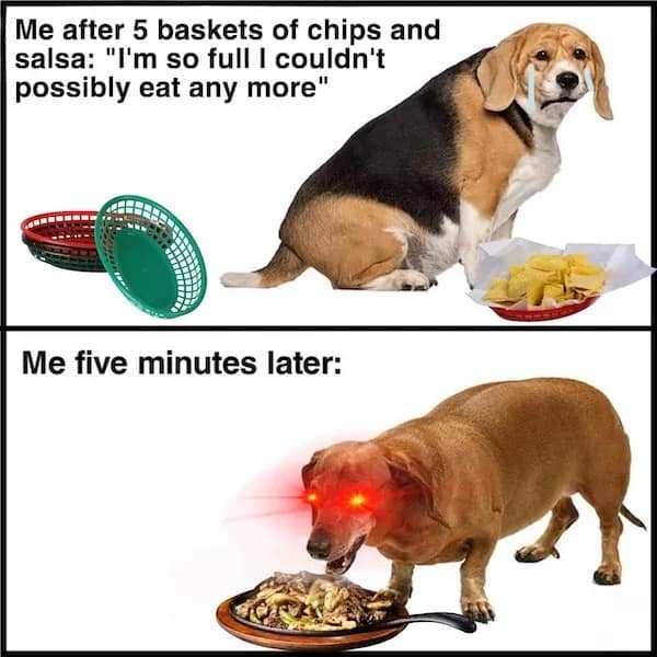 Me after 5 baskets of chips and salsa: "I'm so full I couldn't possibly eat any more" Me five minutes later:
