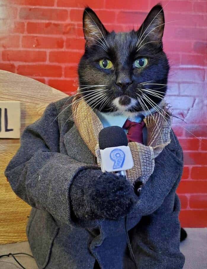 meme dump, funny memes, hilarious memes, viral memes, trending memes, memes funny, dank memes, internet memes, meme collection, fresh memes, best memes, daily memes, laugh memes, random memes, popular memes, new memes, meme roundup, comedy memes, joke memes, social media memes, top memes