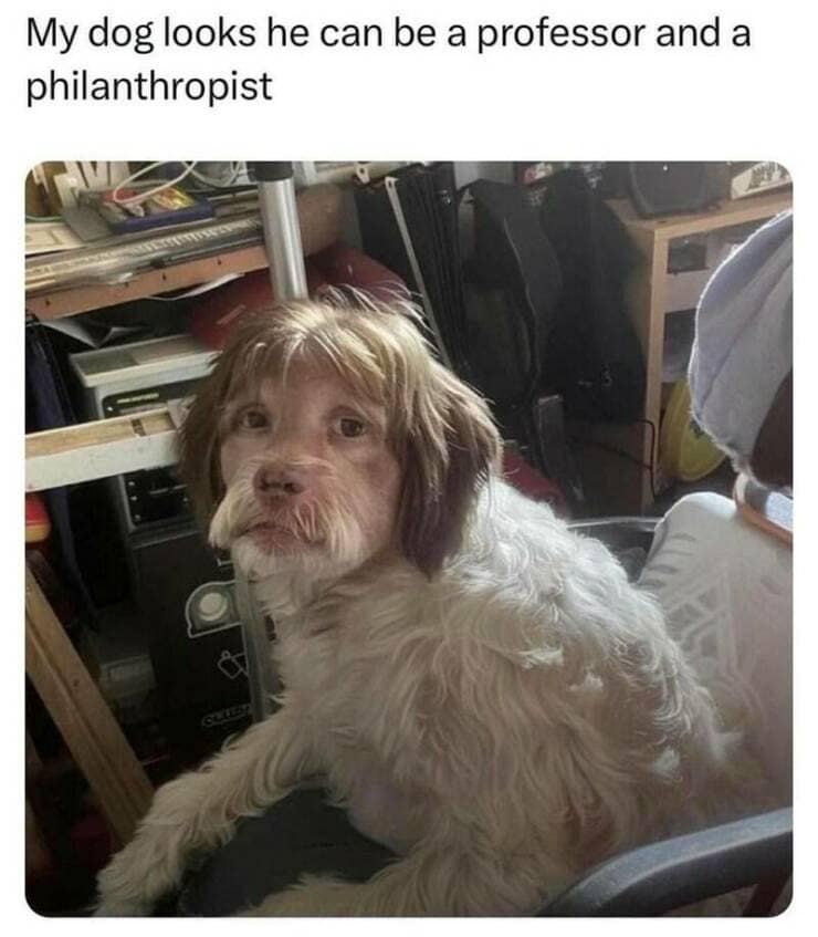 viral memes, internet meme, dank memes, meme collection, meme stash, best memes, trending memes, fresh memes, laugh memes, humor memes, meme roundup, lunch break memes, meme batch, meme bundle, internet memes, top memes, comedy memes, meme binge, memes funny
