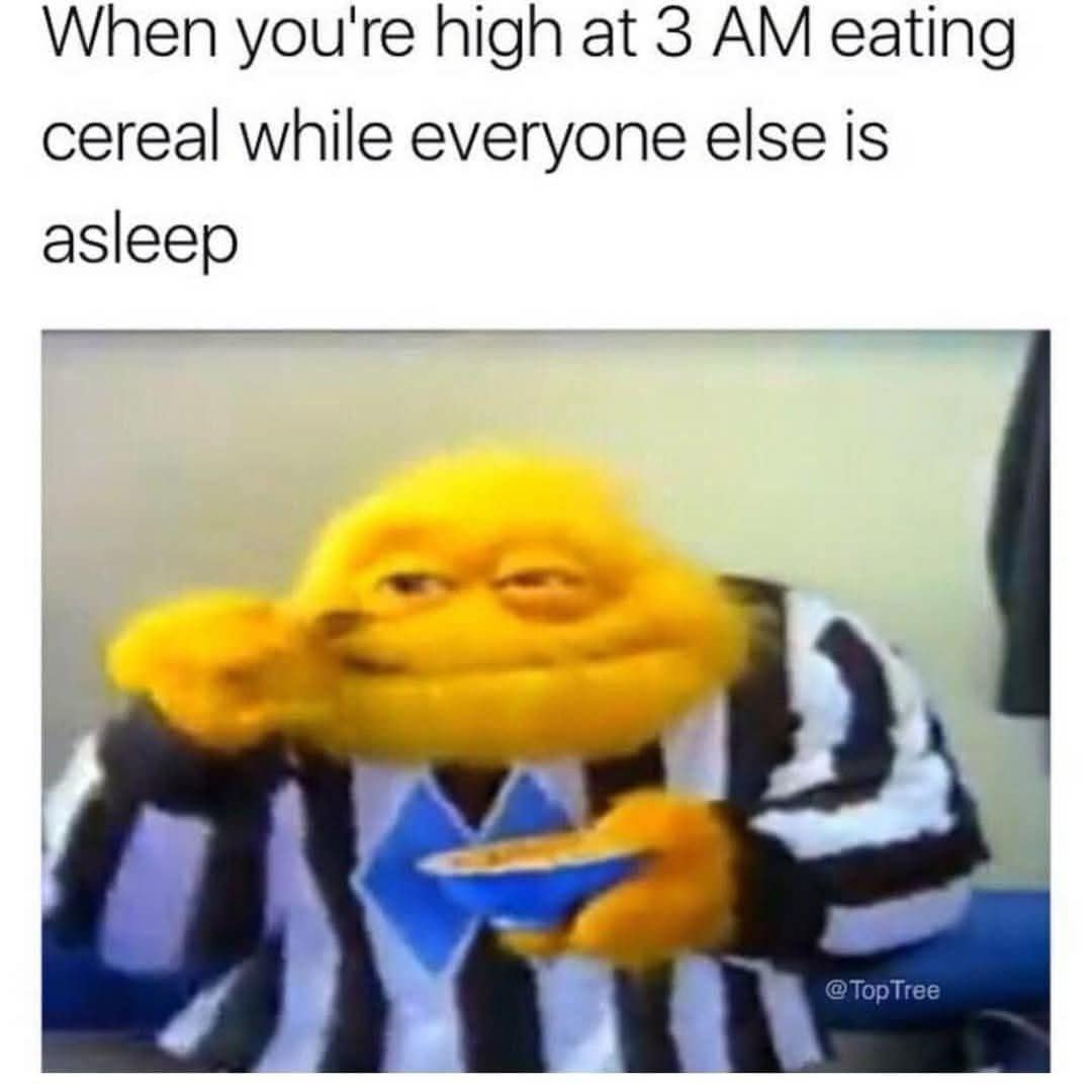 When you're high at 3 AM eating cereal while everyone else is asleep @Top Tree