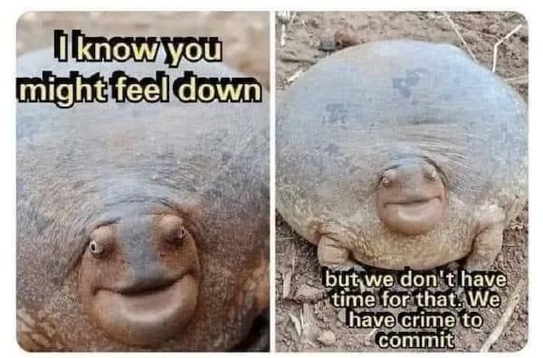 I know you might feel down but we don t have time for that. We have crime to commitbut we don t have time for that. We have crime to commit