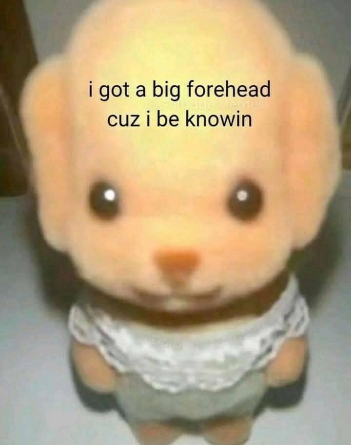 i got a big forehead cuz i be knowin