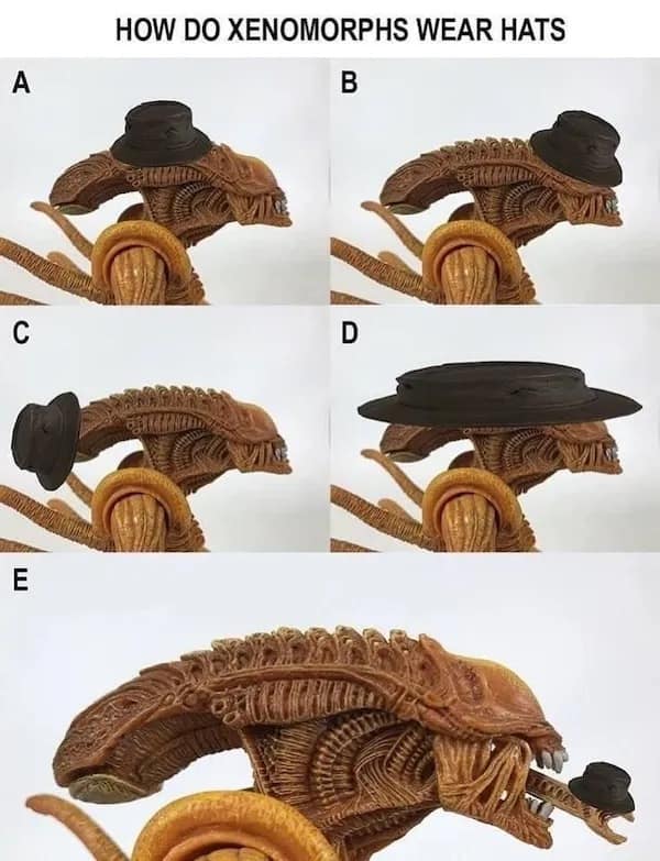 A HOW DO XENOMORPHS WEAR HATS B C E