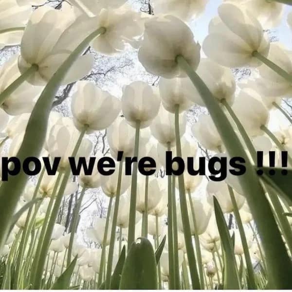 meme dump, funny memes, hilarious memes, trending memes, meme collection, meme roundup, fresh memes, viral memes, dank memes, lol memes, comedy memes, internet memes, meme gallery, dank memes, dank meme dump, memes funny, internet meme