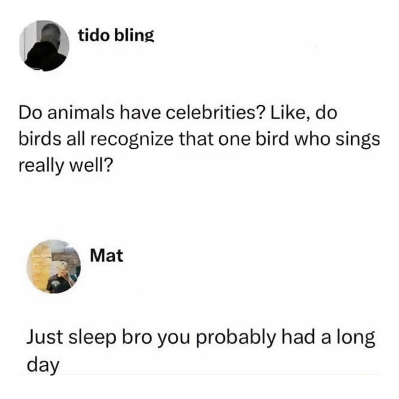 tido bling Do animals have celebrities? Like, do birds all recognize that one bird who sings really well? Mat Just sleep bro you probably had a long day