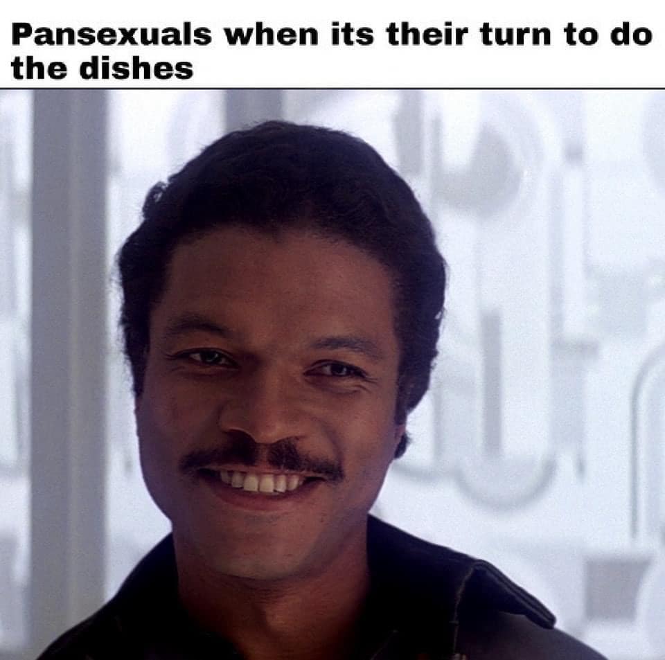 Pansexuals when its their turn to do the dishes