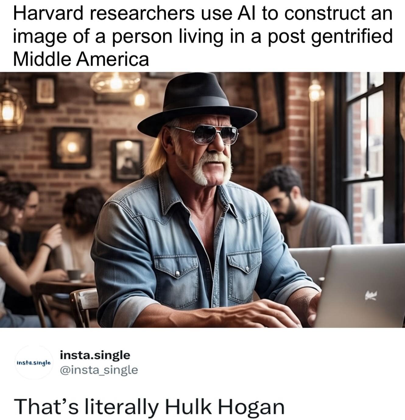 Harvard researchers use Al to construct an image of a person living in a post gentrified Middle America insta.single insta.single @insta_single That's literally Hulk Hogan