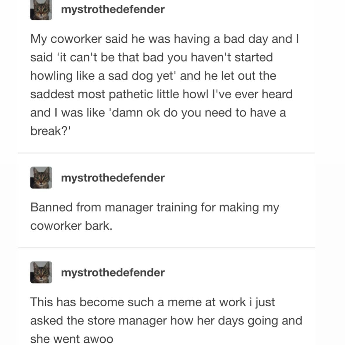 mystrothedefender My coworker said he was having a bad day and I said 'it can't be that bad you haven't started howling like a sad dog yet' and he let out the saddest most pathetic little howl l've ever heard and I was like 'damn ok do you need to have a break?' mystrothedefender Banned from manager training for making my coworker bark. mystrothedefender This has become such a meme at work i just asked the store manager how her days going and she went awoo
