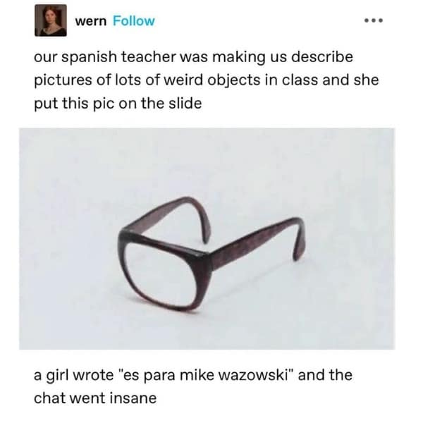 wern Follow our spanish teacher was making us describe pictures of lots of weird objects in class and she put this pic on the slide a girl wrote "s para mike wazowski" and the chat went insane