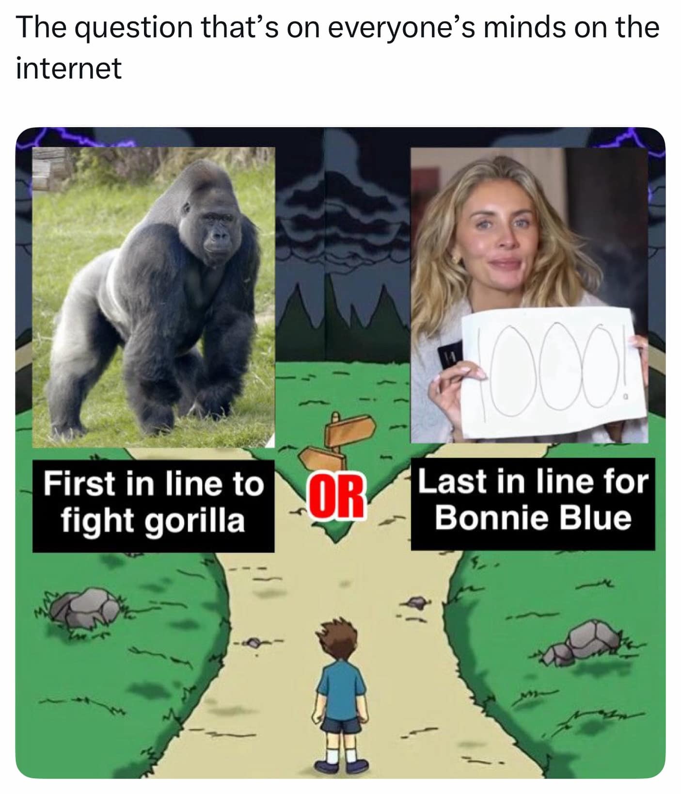 The question that's on everyone's minds on the internet First in line to fight gorilla OR Last in line for Bonnie Blue