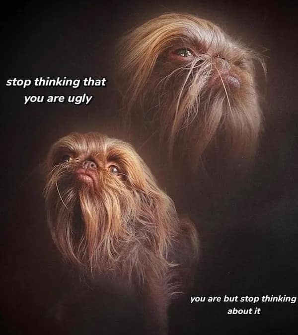 stop thinking that you are ugly you are but stop thinking about it