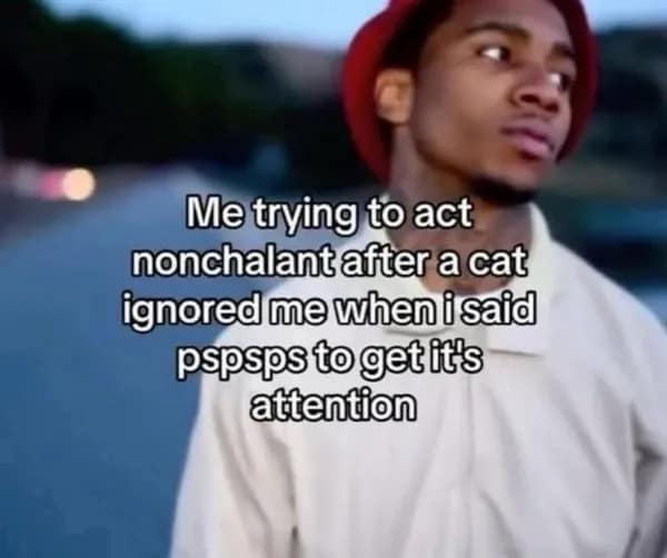 Me trying to act nonchalant after a cat ignored me when i said pspsps to get it's attention