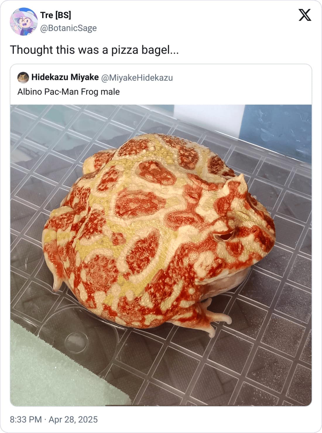 meme dump, funny memes, hilarious memes, meme bundle, meme roundup, meme gallery, comedy memes, laugh memes, viral memes, trending memes, popular memes, fresh memes, internet memes, online jokes, web humor, social media memes, dank memes, internet meme, dank meme dump, memes funny