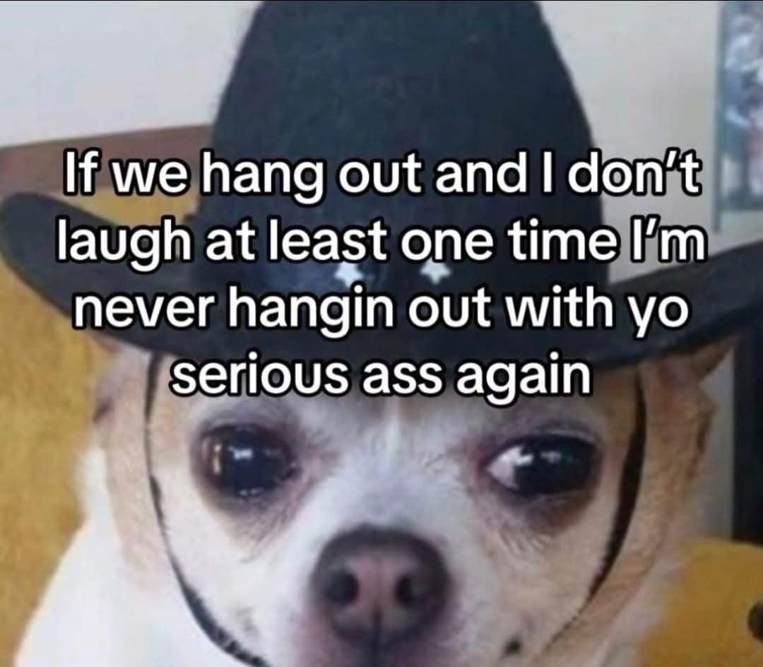 meme dump, funny memes, hilarious memes, meme gallery, trending memes, meme roundup, dank memes, dank meme dump, memes funny, internet meme