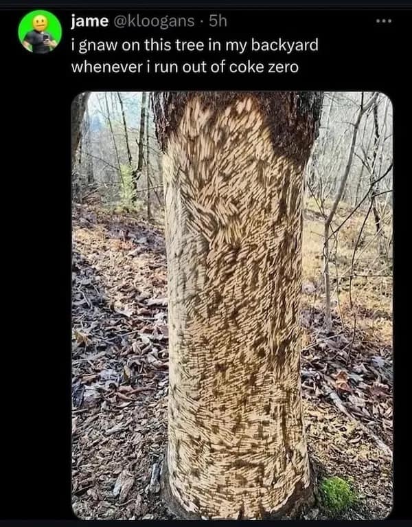 meme dump, funny memes, hilarious memes, viral memes, dank memes, trending memes, internet memes, laugh memes, joke memes, best memes, random memes, comedic memes, daily meme roundup, lunchtime memes, humor memes, meme collection, popular memes, social media memes, fresh memes, top memes, internet meme, memes funny, dank memes, dank meme dump
