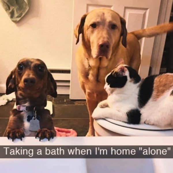 Taking a bath when I'm home "alone"