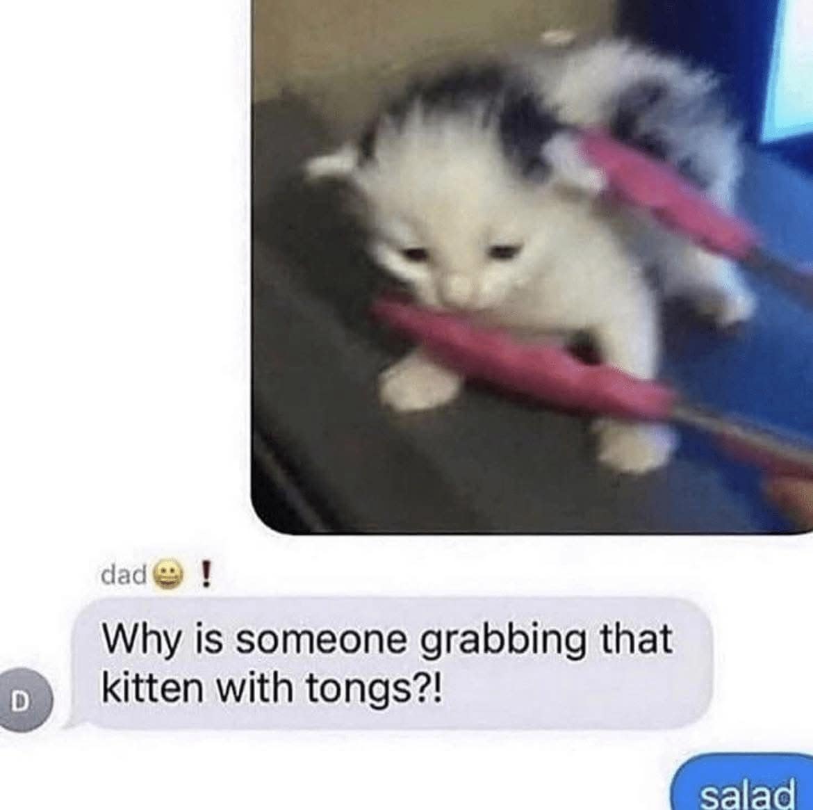 meme dump, funny memes, hilarious memes, viral memes, meme collection, dank memes, trending memes, internet memes, fresh memes, humor memes, laugh memes, joke memes, meme stash, comedy memes, meme scroll, meme roundup, top memes, lunchtime memes, office memes, meme binge, internet meme, memes funny, dank meme dump
