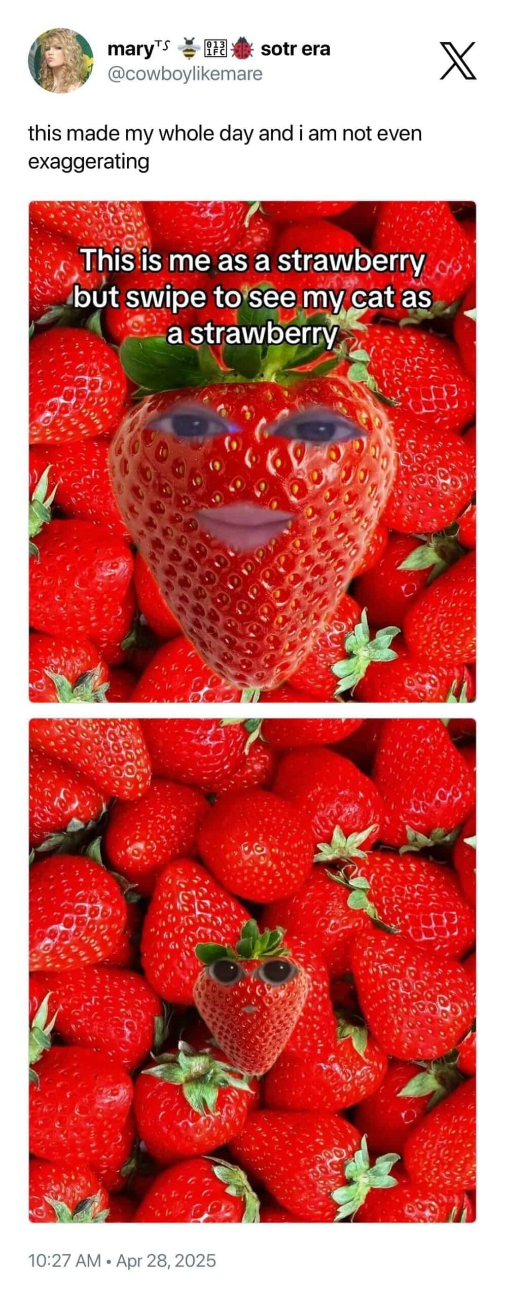 meme dump, funny memes, hilarious memes, meme bundle, meme roundup, meme gallery, comedy memes, laugh memes, viral memes, trending memes, popular memes, fresh memes, internet memes, online jokes, web humor, social media memes, dank memes, internet meme, dank meme dump, memes funny