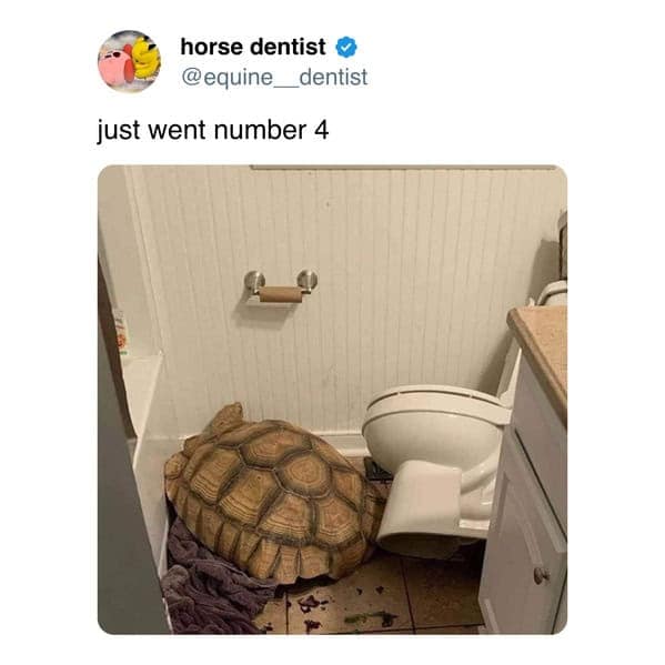 meme dump, funny memes, hilarious memes, meme gallery, trending memes, meme roundup, dank memes, dank meme dump, memes funny, internet meme