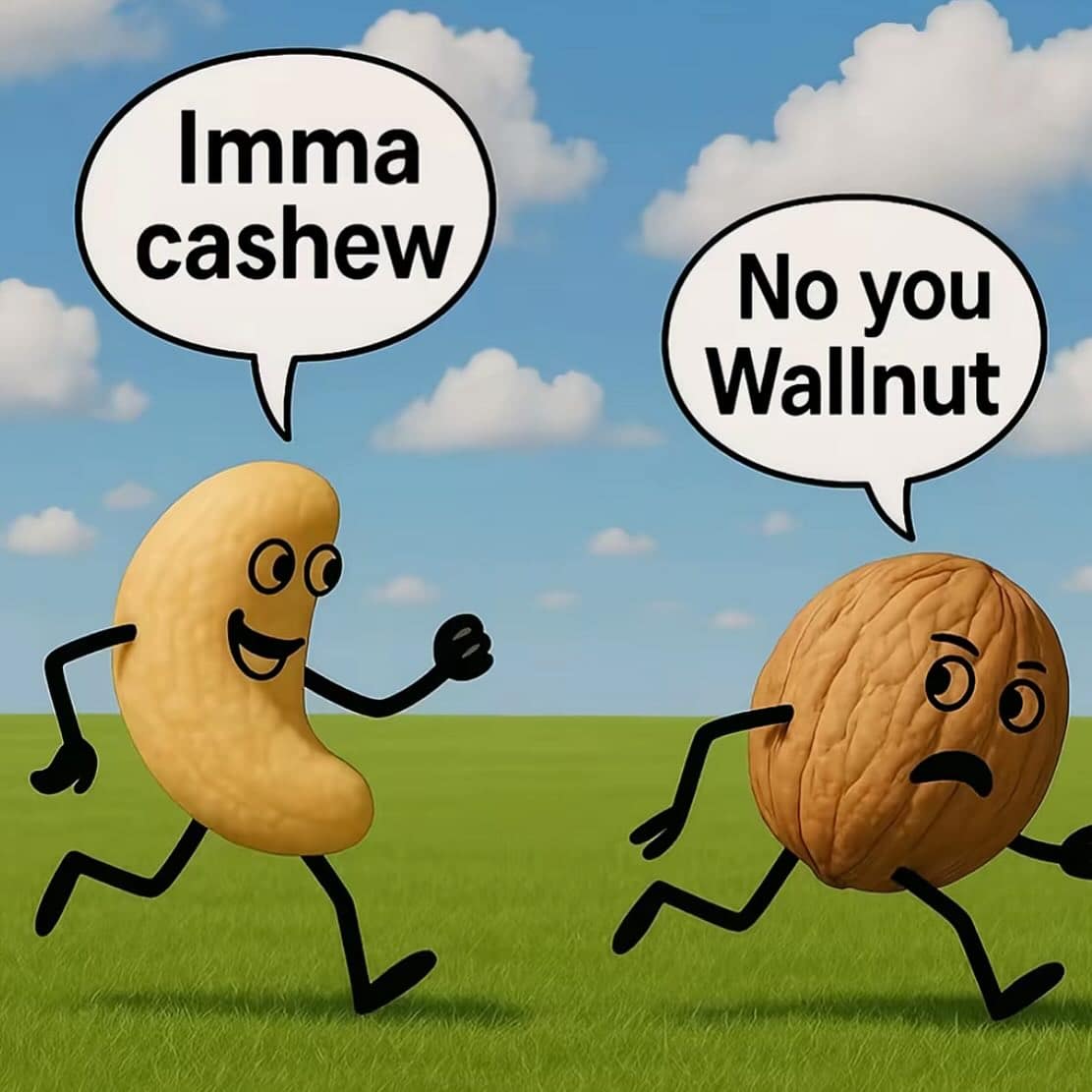 Imma cashew No you Wallnut
