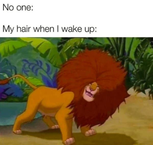 No one: My hair when I wake up: