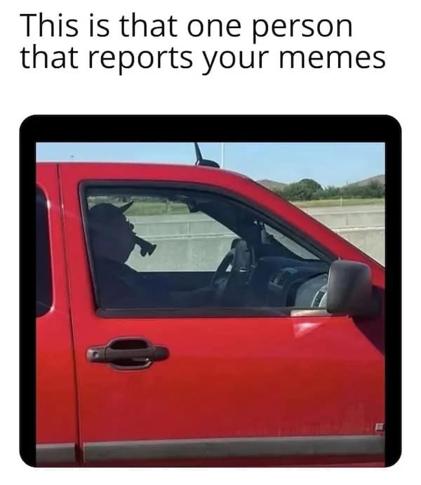 This is that one person that reports your memes