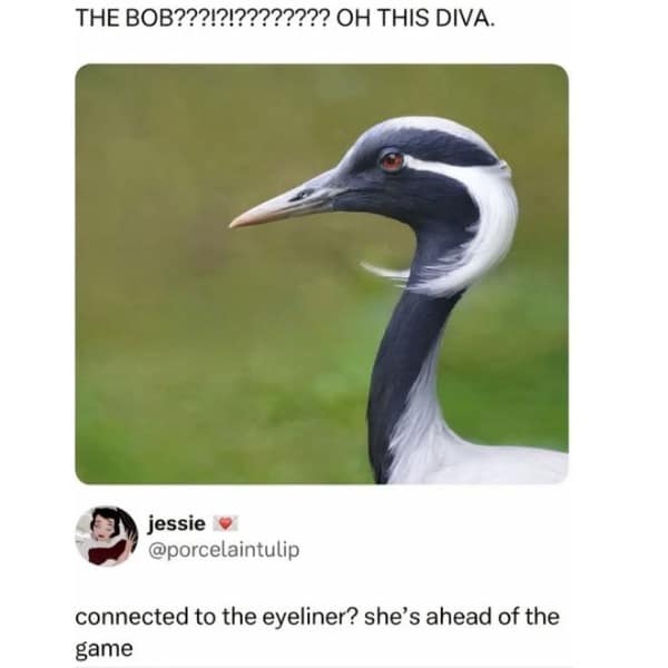 THE BOB???!?!???????? OH THIS DIVA. E jessie ® @porcelaintulip connected to the eyeliner? she's ahead of the game