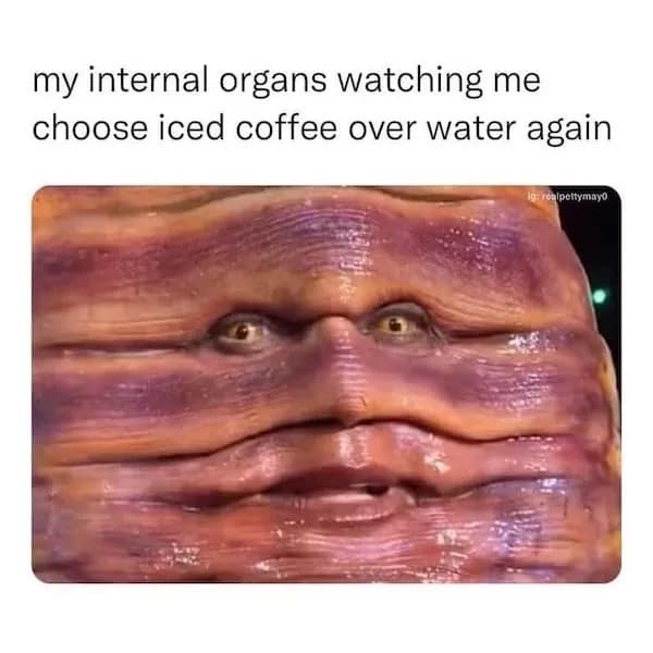 my internal organs watching me choose iced coffee over water again hipottymayo