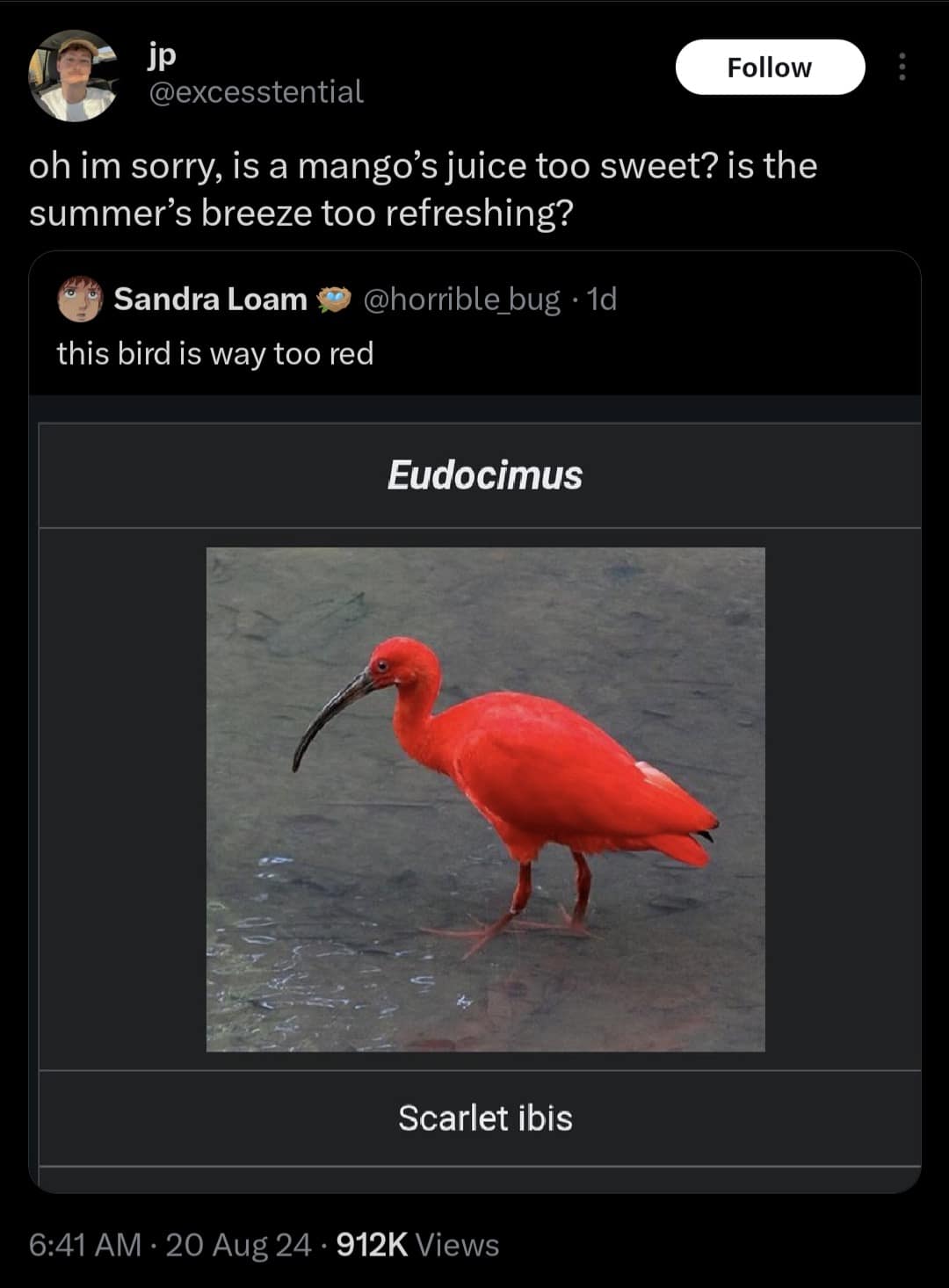 jp Follow @excesstential oh im sorry, is a mango's juice too sweet? is the summer's breeze too refreshing? Sandra Loam * @horrible_bug • 1d this bird is way too red Eudocimus Scarlet ibis 6:41 AM • 20 Aug 24 • 912K Views