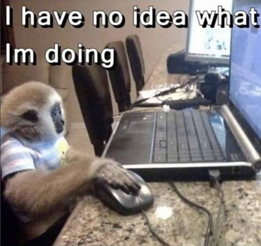 monkey meme, monkey memes, ape memes, funny animal memes, chimp memes, primate jokes, banana memes, gorilla humor, monkey jokes