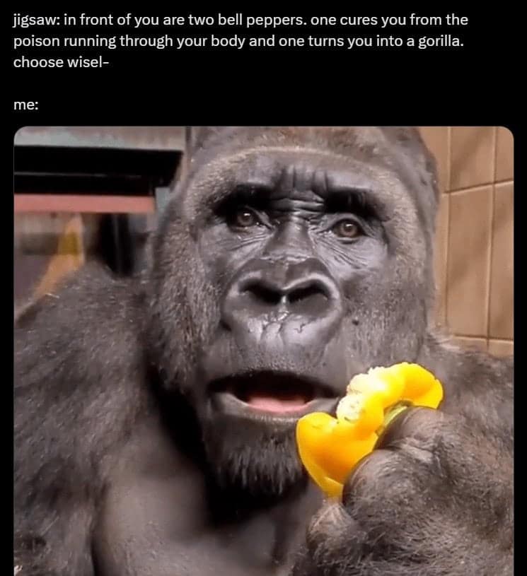 monkey meme, monkey memes, ape memes, funny animal memes, chimp memes, primate jokes, banana memes, gorilla humor, monkey jokes