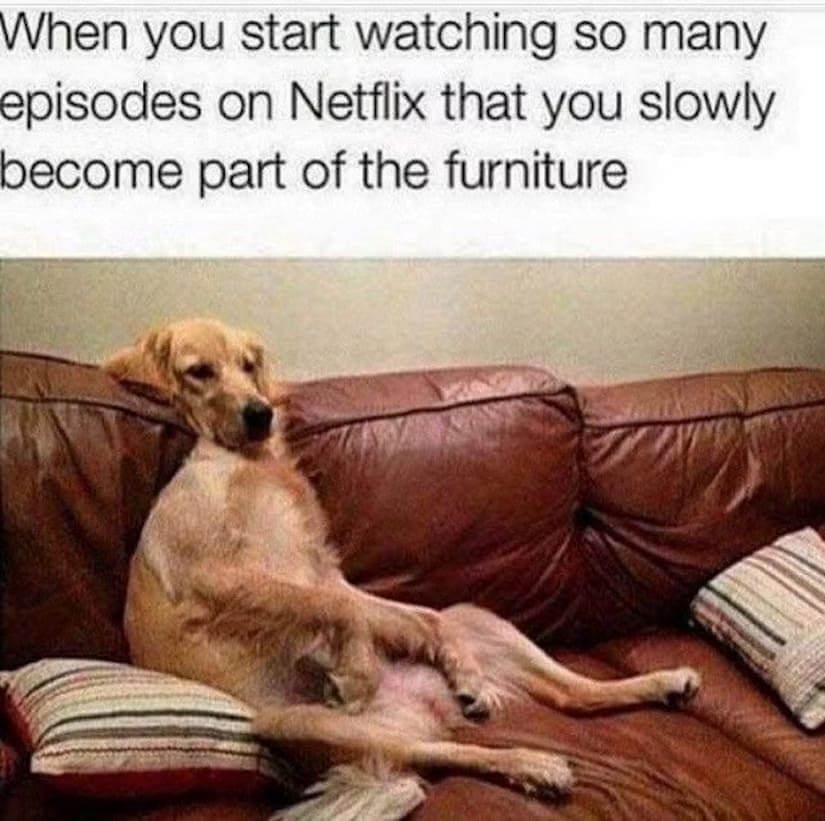 Netflix meme, Netflix memes, binge watching memes, streaming memes, tv show memes, funny Netflix memes, binge memes, series memes, couch potato memes, watch party memes, streaming humor, Netflix jokes, episode memes, binge watch jokes, TV memes, Netflix humor, snack memes, late night memes, show memes, binge life jokes, streaming service memes
